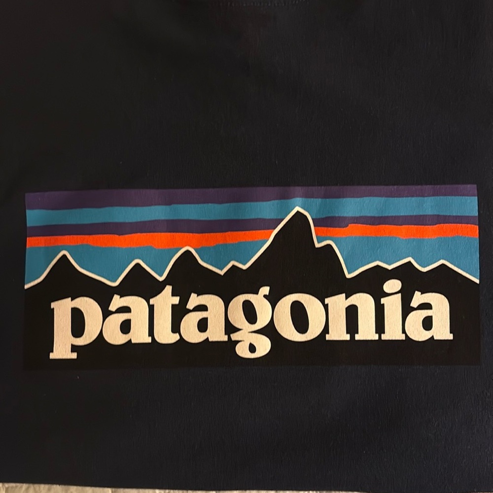 Patagonia Blue Short Sleeve Tee Classic Crew Neck